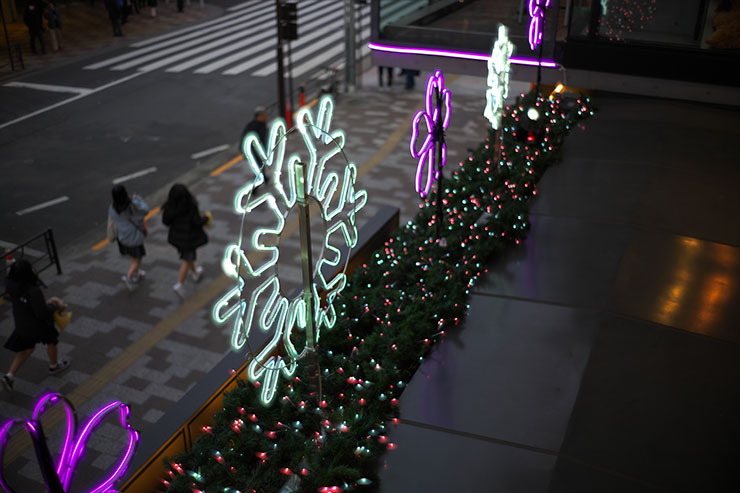 LEICA M10-Pで撮影したイルミネーションの画像