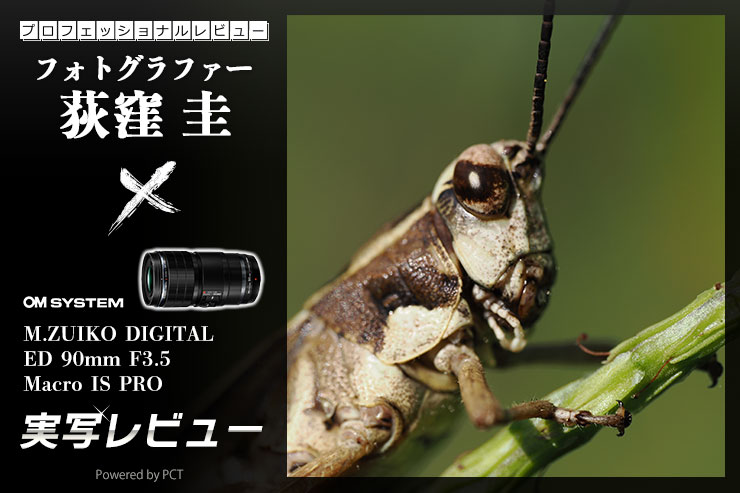 OM SYSTEM M.ZUIKO DIGITAL ED 90mm F3.5 Macro IS PROレビュー × 荻窪 圭メインバナー