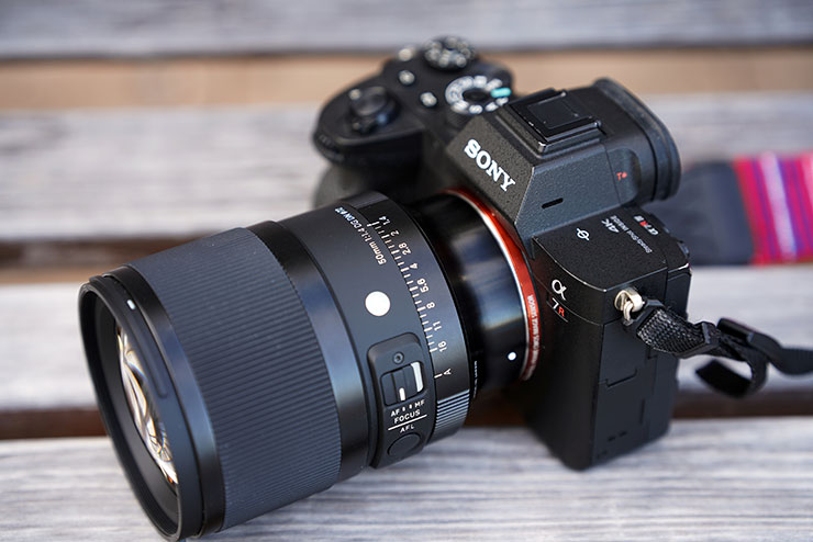 シグマ 50mm F1.4 DG DN｜Artをソニー α7R IVに装着した画像