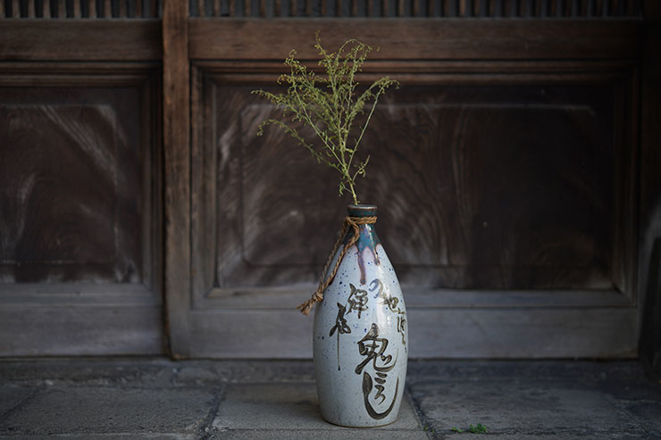 ソニー α7R IV・シグマ 50mm F1.4 DG DN | Artで撮影した酒瓶に入った植物の画像