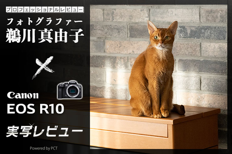 Canon EOS R10 レビューメインバナーイメージ