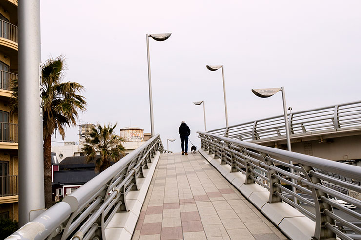 キヤノン EOS R10・RF-S18-150mm F3.5-6.3 IS STM（24mm）で撮影した犬の散歩をする人の画像