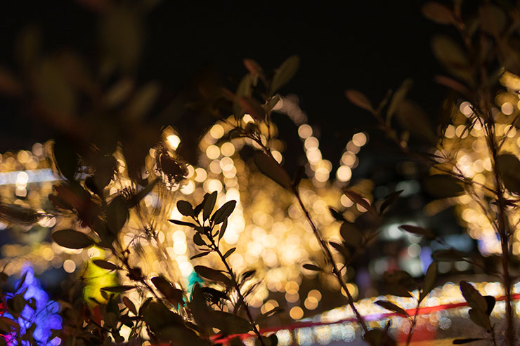 キヤノン EOS R10・ RF35mm F1.8 MACRO IS STMで撮影した灯りがともった夜の街の画像