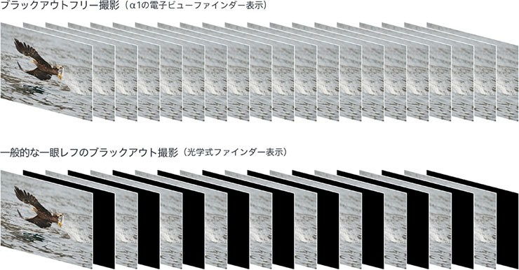 ブラックアウトフリー撮影・ブラックアウト撮影イメージ