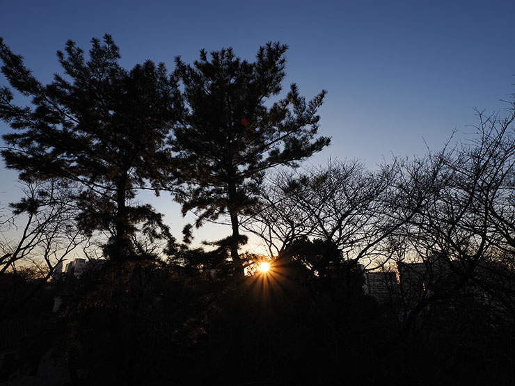 M.ZUIKO DIGITAL ED 8-25mm F4.0 PRO・8mm（35mm判換算16mm）・ 1/320秒で撮影した箱根山山頂に沈む夕日の画像