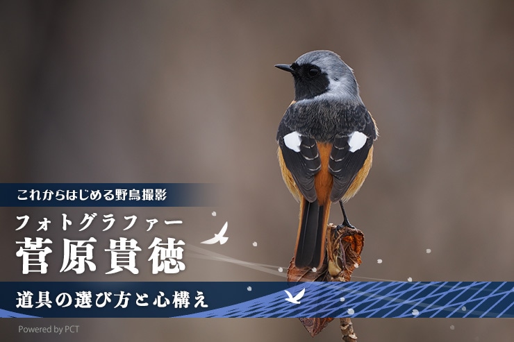 野鳥撮影をはじめよう × 菅原貴徳メインバナー