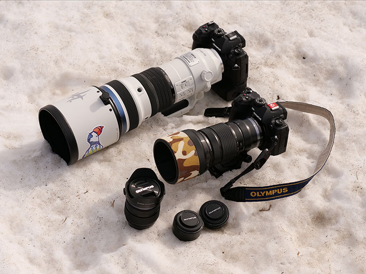 筆者が野鳥撮影に使用するカメラ・レンズ・テレコンバーターの基本セットの画像