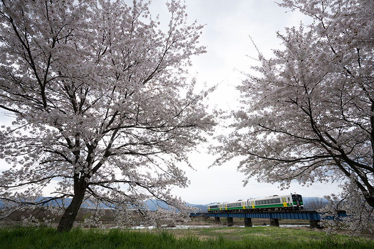 SONY α7RⅣ・FE16-35mm F2.8 GM・18mmで撮影で撮影した曇天の中を走る只見線と桜の画像