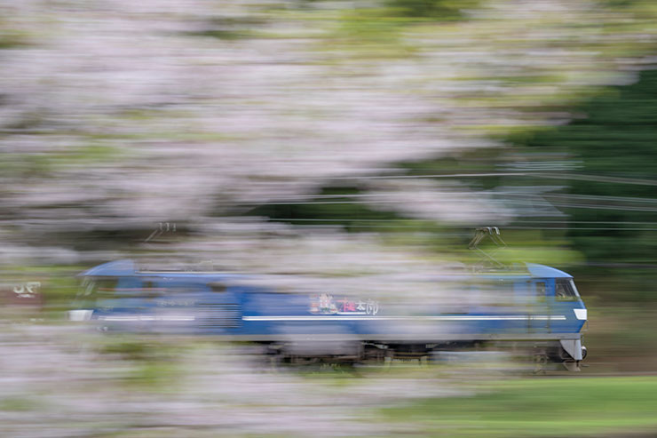 SONY α1・FE70-200mm F2.8 GM OSS・90mmで低速シャッターにて撮影した山陽本線 と桜の画像