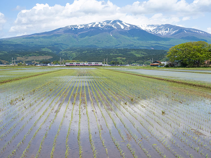 OM SYSTEM OM-D E-M1X・M.ZUIKO DIGITAL ED 12-40mm F2.8 PRO・23mm（35mm判換算46mm）で撮影した鳥海山と水田の間を走る羽越本線の画像
