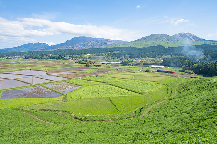 SONY α7RⅣ・FE 12-24mm F2.8 GM・24mmで撮影した阿蘇山群を背景に休耕田の間を走る豊肥本線の画像