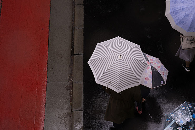 ニコンZ 9・NIKKOR Z 85mm f/1.2 Sで撮影した傘をさして歩く人々の画像