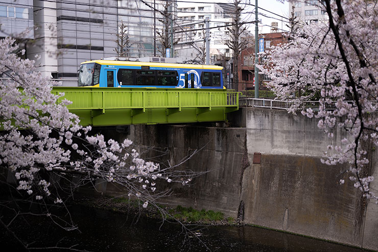 ニコンZ 9・NIKKOR Z 50mm f/1.8 Sで撮影した橋を渡る都電と桜の画像