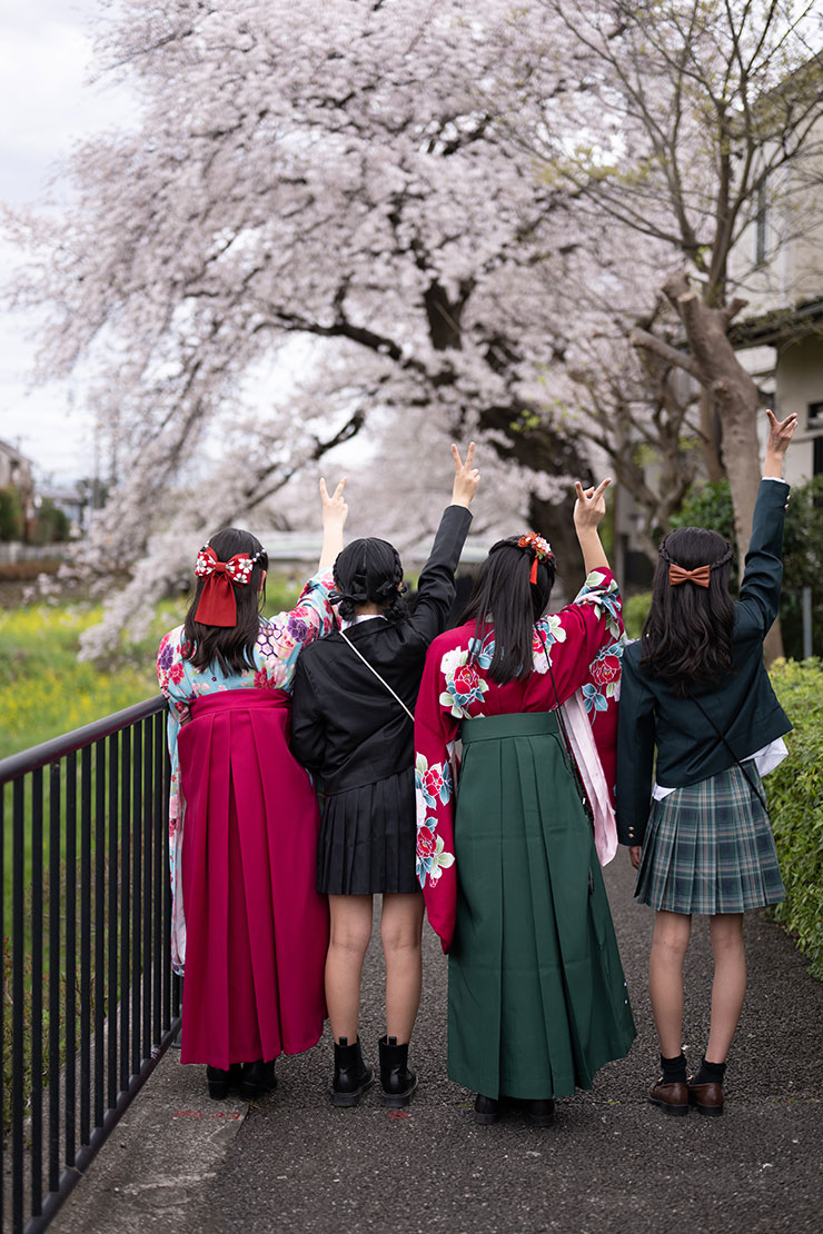 ニコンZ 9・NIKKOR Z 50mm f/1.8 Sで撮影した卒業生の後ろ姿と桜の画像
