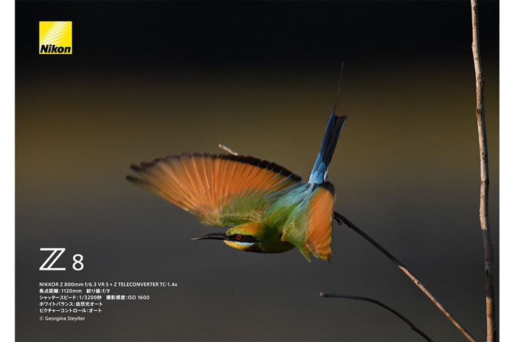 Nikon（ニコン）Z 8作例2