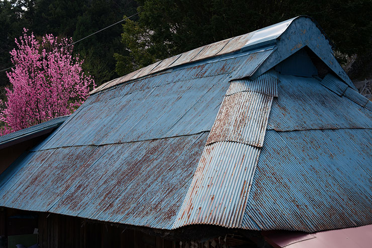 ソニーα7R V・シグマ50mm F2 DG DN | Contemporaryで撮影したトタン屋根の画像