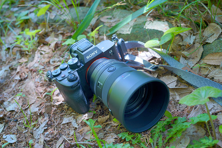 SONYα7 Ⅳ（カメラ）にFE 50mm F1.4 GM（レンズ）・Peak Design L（リーシュ）-AS-3（ストラップ）を装着した画像