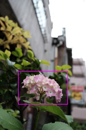 TAMRON 11-20mm F/2.8 Di III-A RXD (Model B060) 富士フイルム X マウント 解像感作例枠