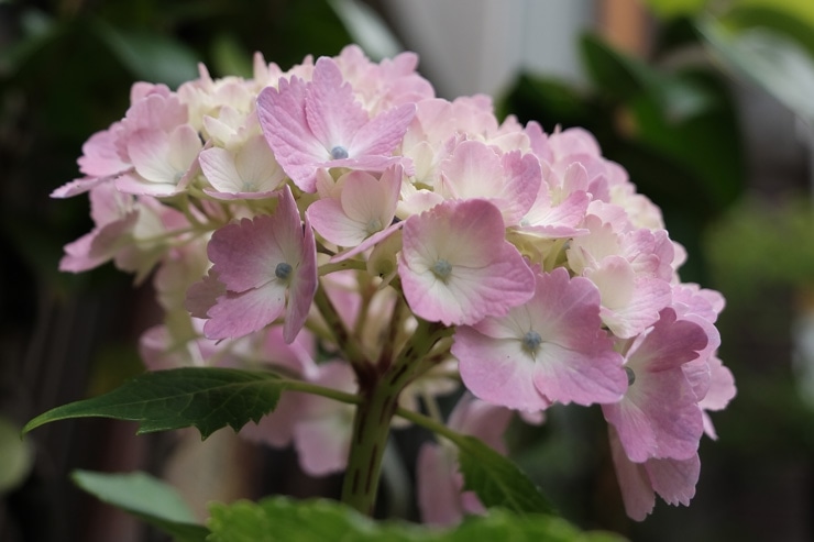 TAMRON 11-20mm F/2.8 Di III-A RXD (Model B060) 富士フイルム X マウント 解像感作例拡大