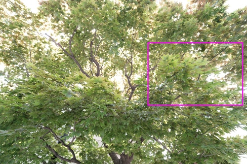 TAMRON 11-20mm F/2.8 Di III-A RXD (Model B060) 富士フイルム X マウント フリンジ作例枠