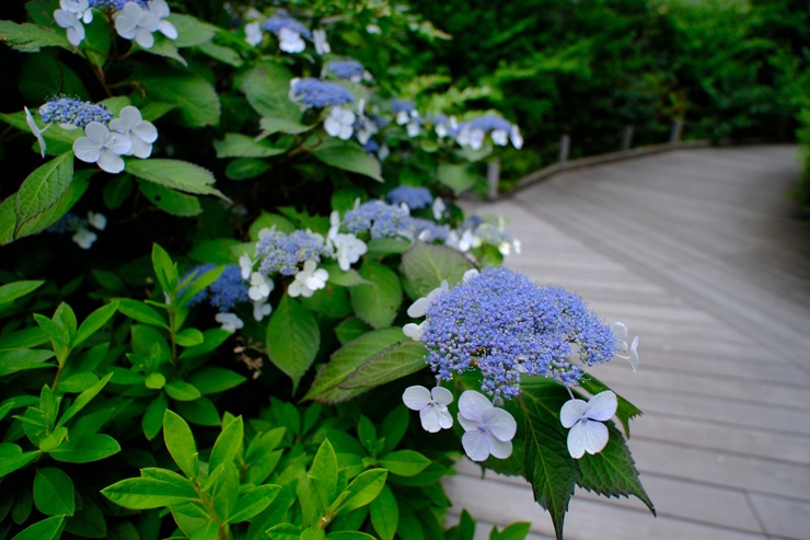 TAMRON 11-20mm F/2.8 Di III-A RXD (Model B060) 富士フイルム X マウント 作例3