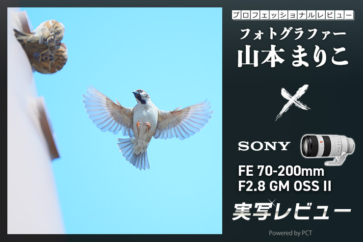 SONY FE 70-200mm F2.8 GM OSS II レビュー × 山本まりこキービジュアル