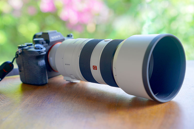 SONY α7 ⅣにFE 70-200mm F2.8 GM OSS IIを装着した画像