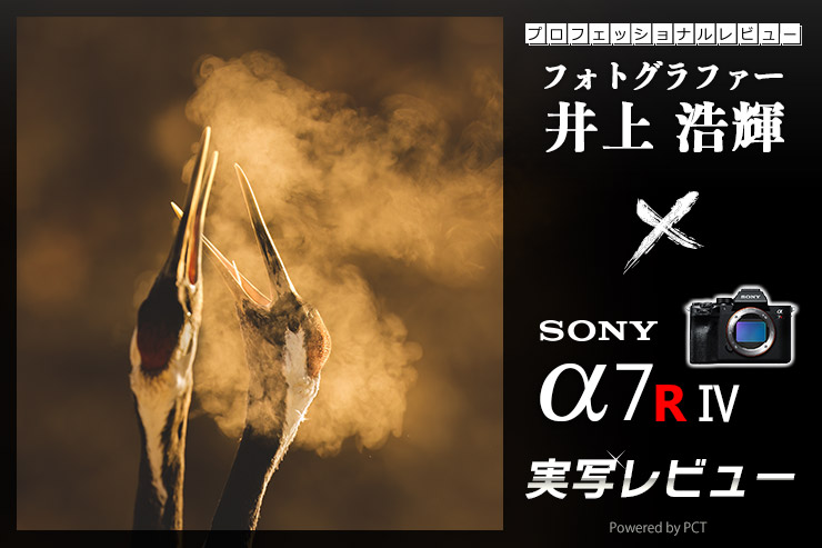 SONY α7R Ⅳ × 井上浩輝 | 素晴らしい画を生み出すソニーRシリーズキービジュアル