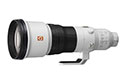 SONYFE 600mm F4 GM OSS