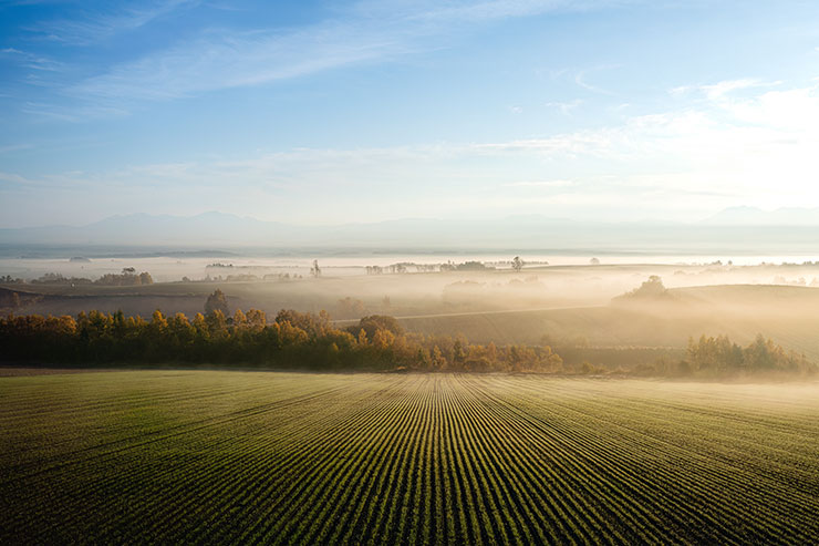 SONYα7R Ⅳ・ FE 16-35mm F2.8 GM（35mm）で撮影した田園や林の風景のトリミング前の画像