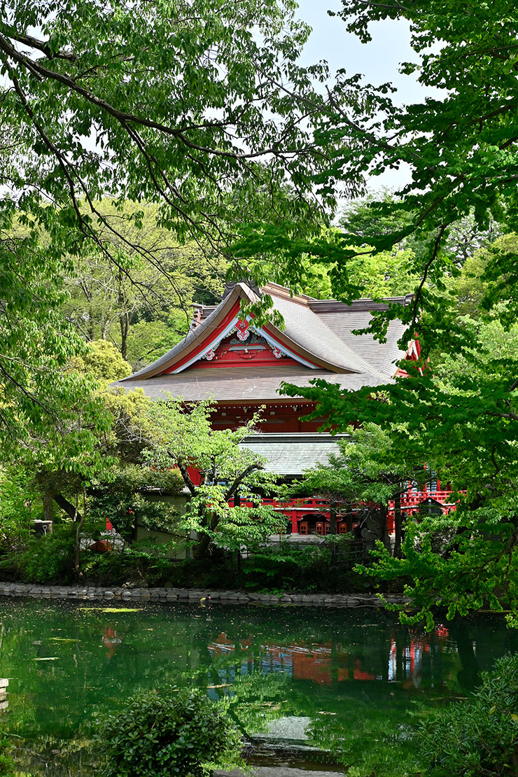 NIKKOR Z 40mmF2で撮影した神社の画像