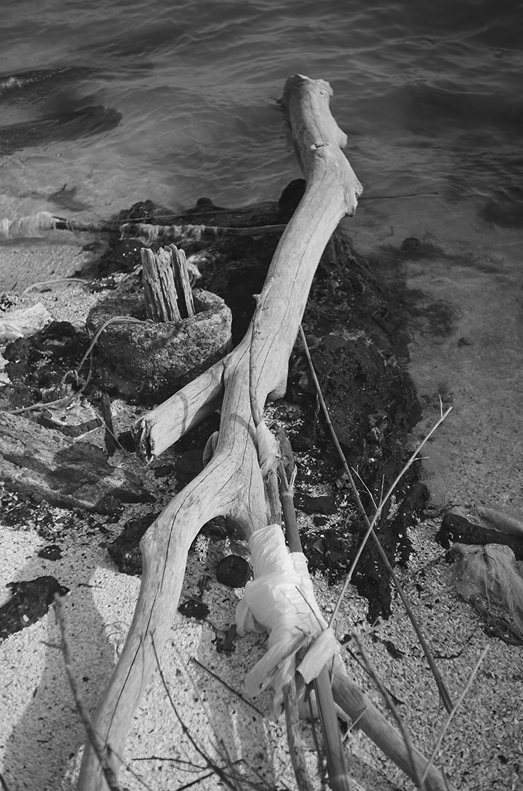 ライカM11モノクローム・エルマーf3.5/50mmで撮影した流木の画像