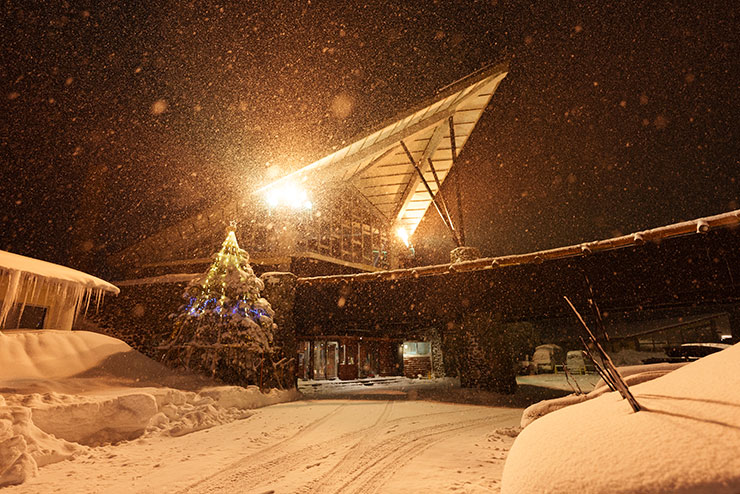 SONY FE 20mm F1.8Gで撮影した雪降りの中ライトアップされたツリーや建物の画像（RAW調整前）