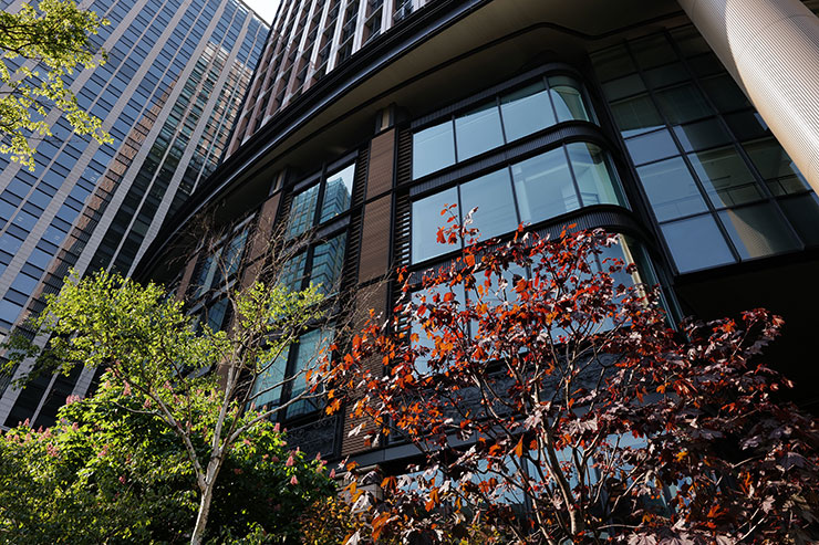 Leica VARIO-ELMARIT SL f2.8/24-70mm ASPH.・24mmで撮影した木々とビルの画像