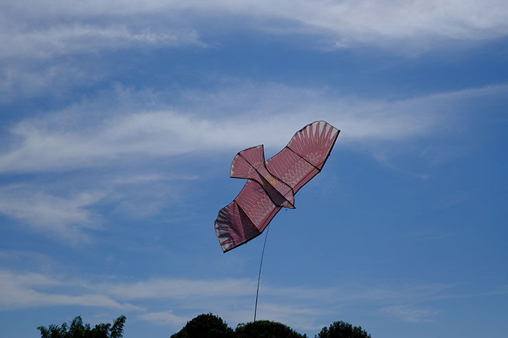 FUJIFILM X-S20・XF30mmF2.8 R LM WR Macroで撮影した鳥よけの凧の画像