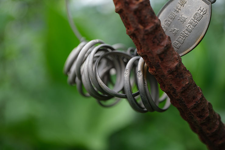 FUJIFILM X-S20・XF30mmF2.8 R LM WR Macroで撮影した全国標準指環番型の画像