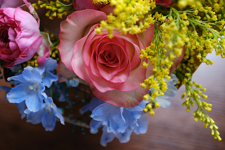 FUJIFILM X-S20・XF30mmF2.8 R LM WR Macroで撮影した色とりどりの花の画像