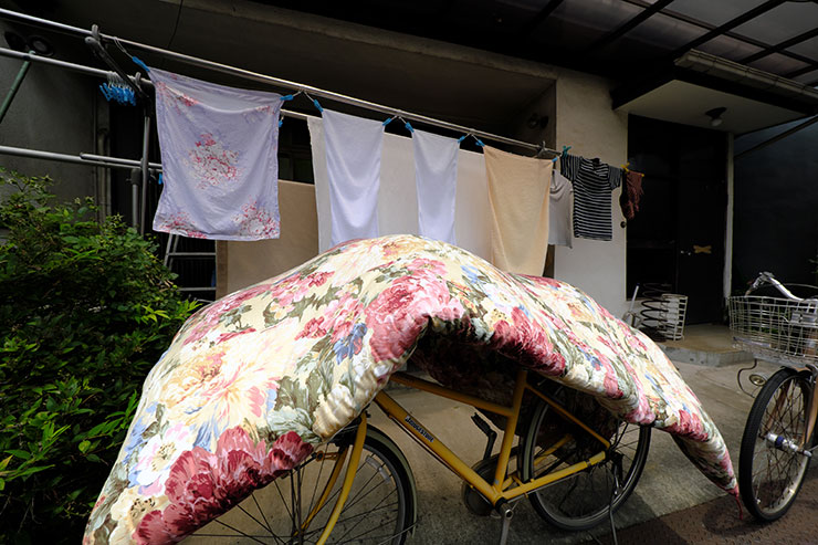 FUJIFILM X-E4・XF8mmF3.5 R WRで撮影した庭で干している洗濯物と布団の画像