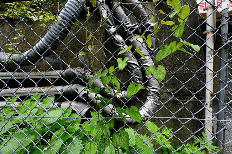 FUJIFILM X-E4・XF8mmF3.5 R WRで撮影したツタが絡んでいるフェンスの画像