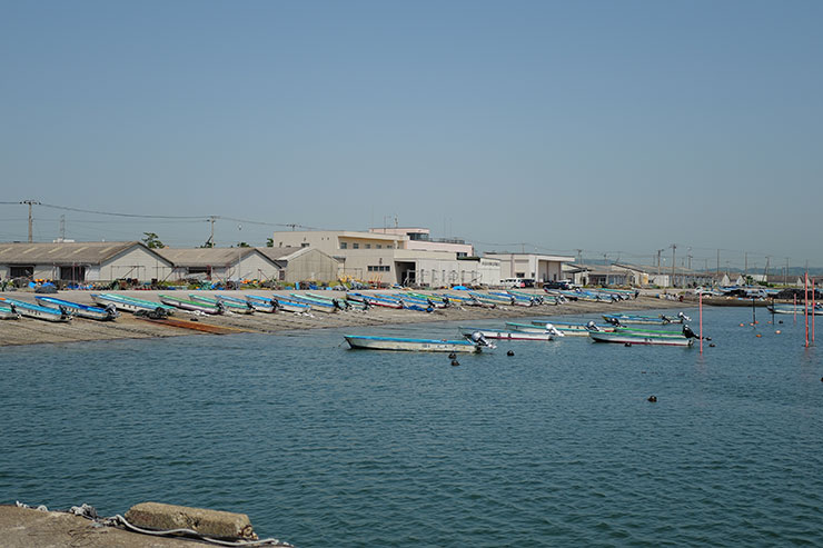 Leica Q3・50mmで撮影した港の画像