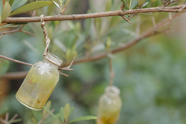 Leica Q3で撮影したで木に取り付けられた小瓶の画像