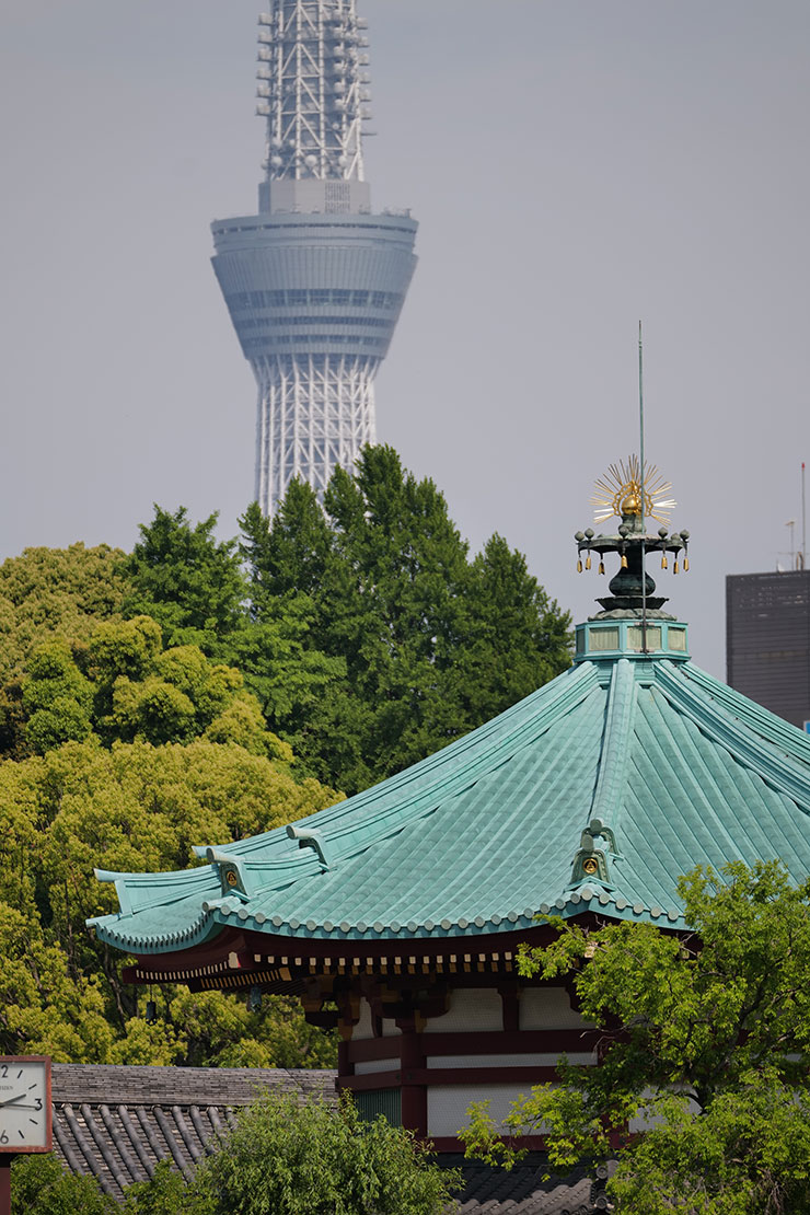 Leica SL2-Sとバリオ・エルマーSL f5-6.3/100-400mmを組み合わせ・400mmで撮影したお寺の屋根とスカイツリーの画像