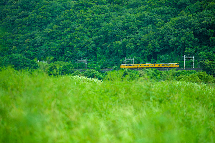 SONY α1・FE 70-200mm F2.8 GM OSS II・95mmで撮影した生い茂る草の景色と山陽本線の画像