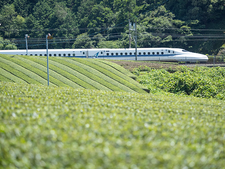 OM SYSTEM OM-D E-M1 MarkⅢ・M.ZUIKO DIGITAL ED 40-150mm F2.8 PRO・115mm(35mm判換算230mm)で撮影した畑沿いを走行する東海道新幹線