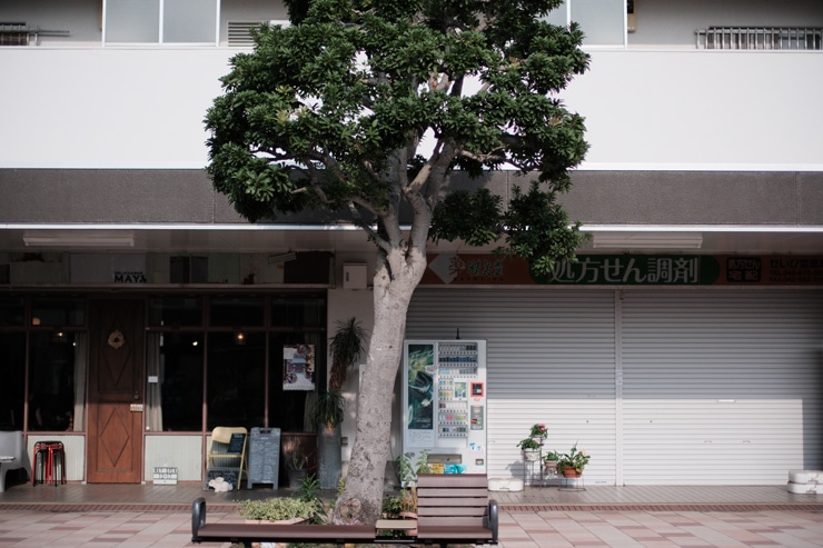 Voigtlander NOKTON 35mm F0.9 Aspherical X-mount 作例4