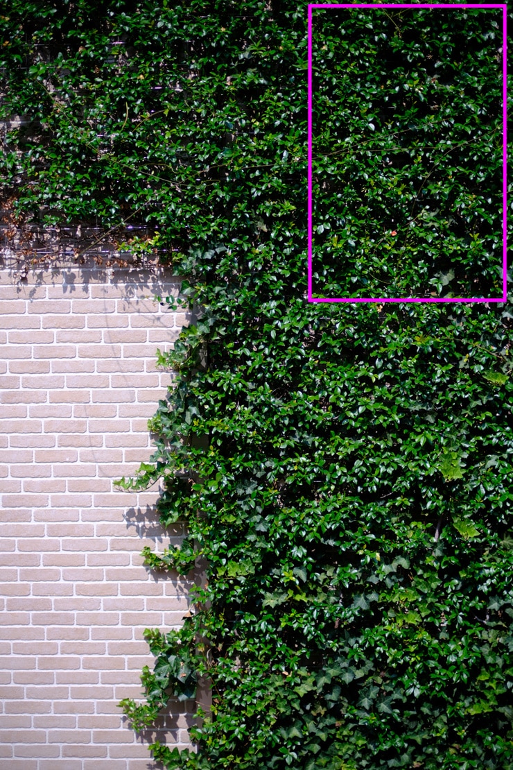 Voigtlander NOKTON 35mm F0.9 Aspherical X-mount 周辺部画質作例枠