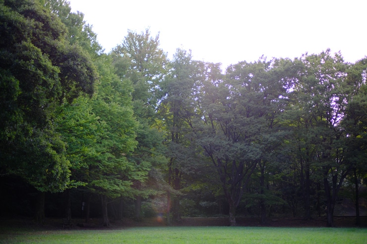 Voigtlander NOKTON 35mm F0.9 Aspherical X-mount フレア/ゴースト作例