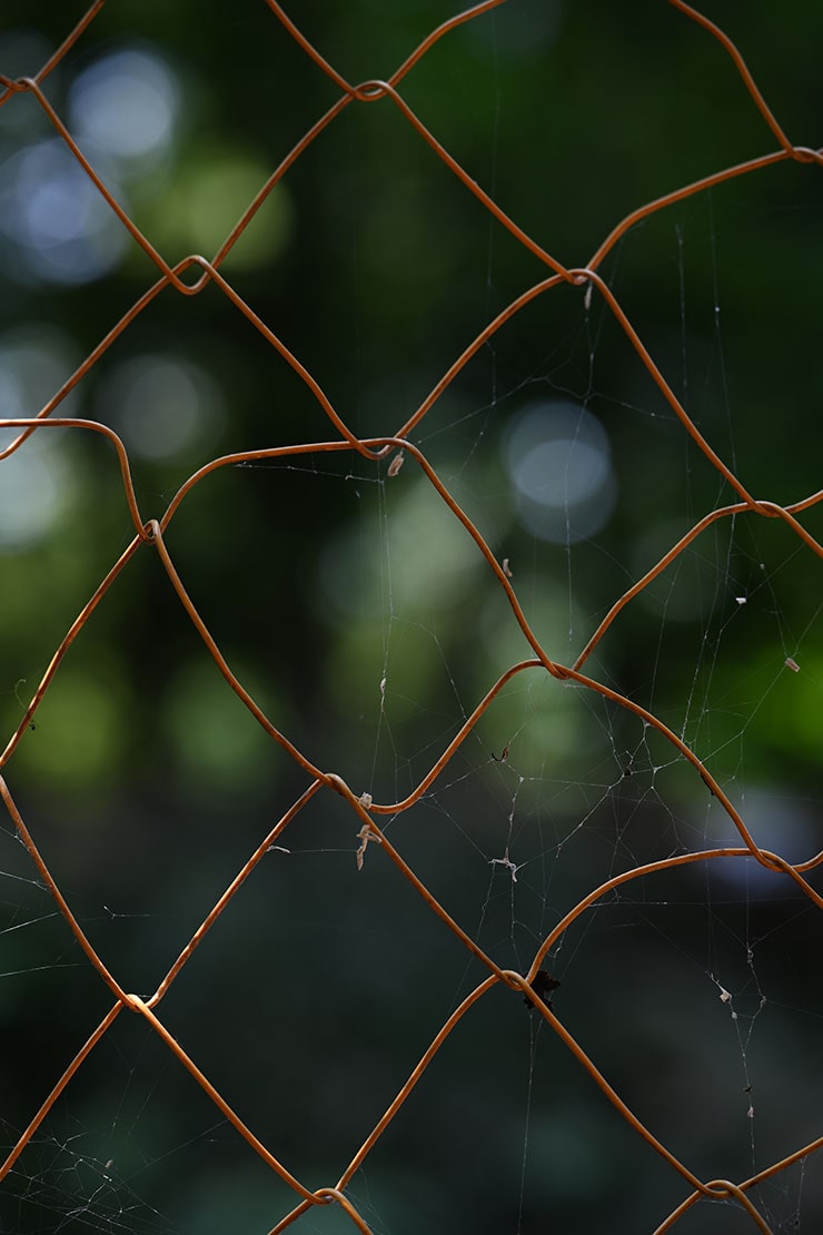 Nikon（ニコン）Z 7Ⅱ・NIKKOR Z 70-180mm f/2.8 作例：錆びた柵