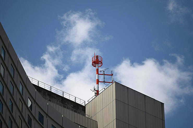 Nikon（ニコン）Z 7Ⅱ・NIKKOR Z 70-180mm f/2.8 作例：TC-1.4×使用