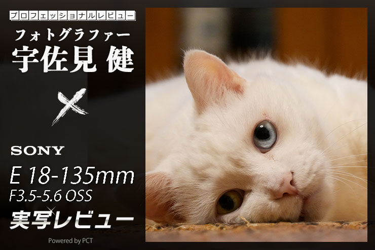 SONY E 18-135mm F3.5-5.6 OSS レビュー × 宇佐見健｜機動力が魅力のAPS-Cセンサーα用標準ズームキービジュアル